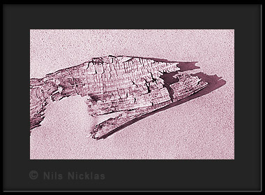 Fine-Art Druck Sand mit Holz